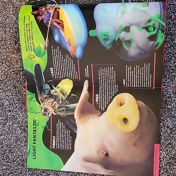 Guinness World Records 2008 Hardcover Book - Picture 2 of 3